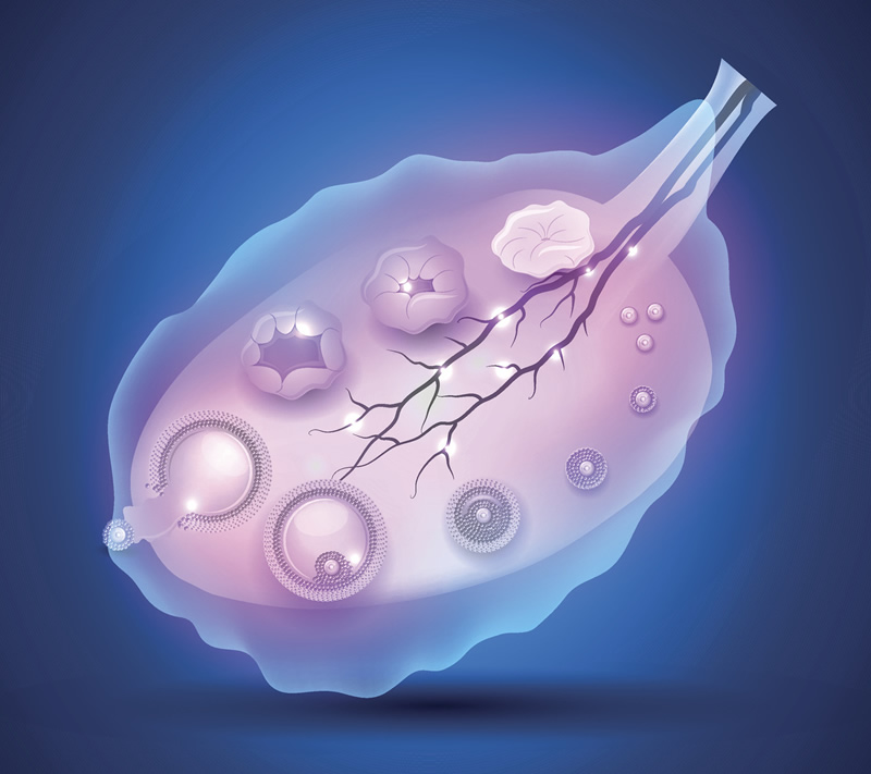 江苏试管医院排行榜_江苏省有名的试管医院！